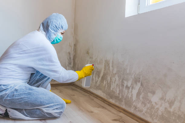 Commercial Mold Remediation assessment for commercial property in Three Oaks